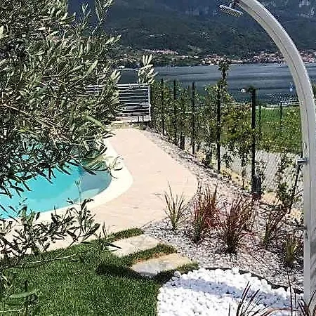Bellagio Wild Flowers Master 4*